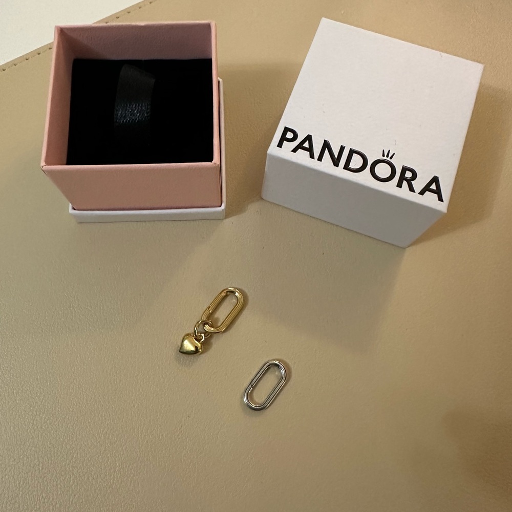 Pandora Links & Charm